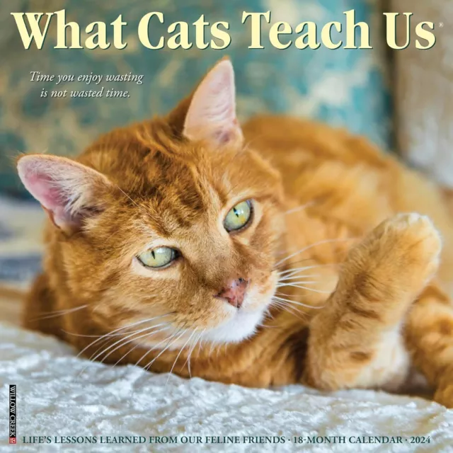 WHAT CATS TEACH Us 2024 Wall Calendar Brand New 35832 15.95
