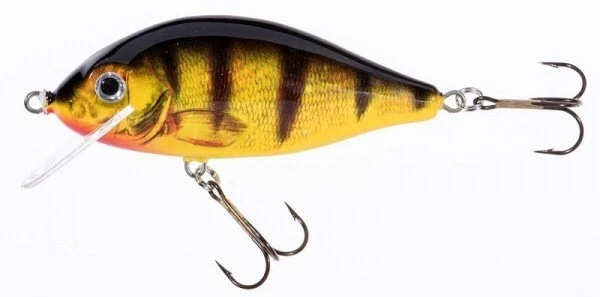 Jaxon Holo Select Karausche - 8cm/13g Schwimmend