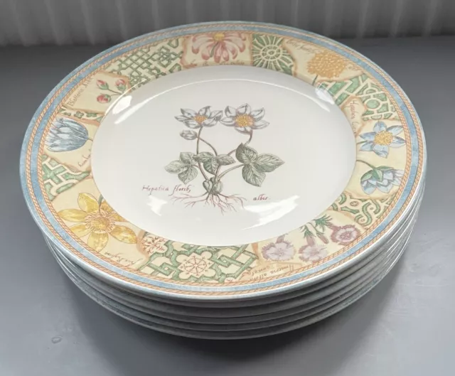 WEDGWOOD HOME GARDEN MAZE  DINNER PLATE in rare perfect condition 1996 Vintage