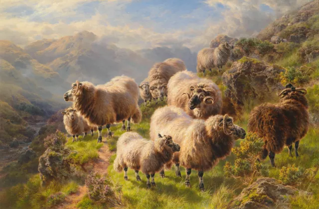 Home Art Wall Decor Animal Sheep Scenery Oil Painting Printed On Canvas Gifts