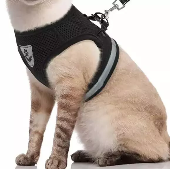 Breathable Cat Harness  Escape Proof Pet Clothes Kitten