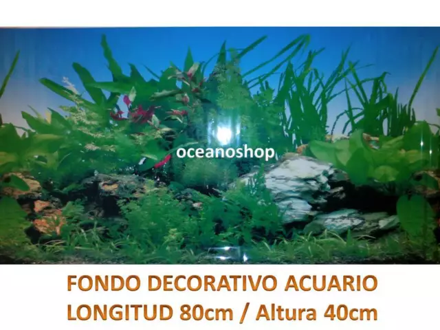 FONDO DECORATIVO ACUARIO longitud 80cm altura 40cm terrario pecera plantado D469