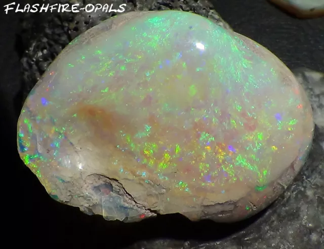 39,1 Carats Gemme Couleurs Opale Coquille / Or / Vert/Rouge Video