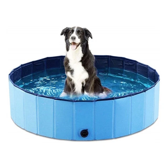 Cuidado de mascotas piscina de remo piscina jardín deportes acuáticos cuenca gato verano