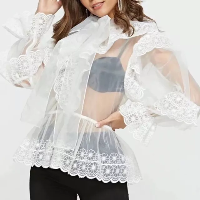 The Ellery Sheer Ruffle Top 3