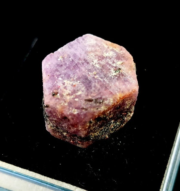 Pietra preziosa grezza sciolta grezza da 45 ct di rubino rosso naturale non...