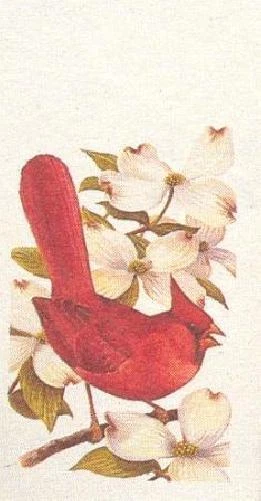 Arthur Singer Cardinal and Flowering Dogwood