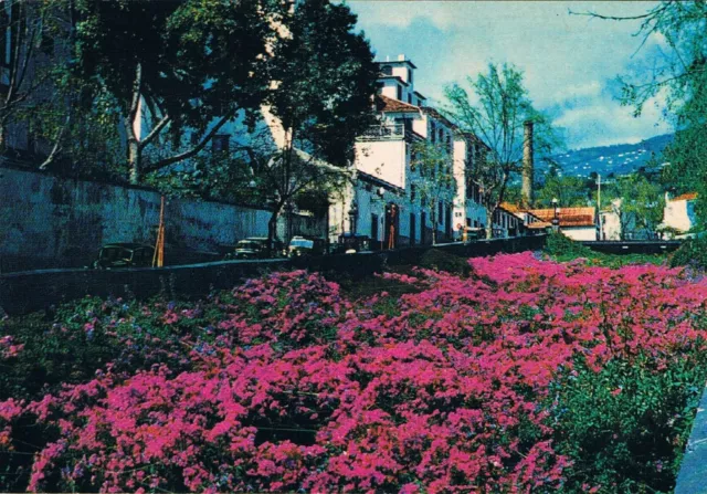 Postcard Portugal Insel Madeira Island Funchal Bougainvillea Atlantik Atlantic O