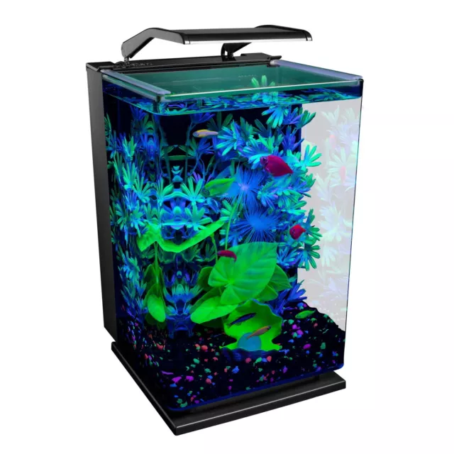 5 Gallon Desktop Starter Glass Aquarium Kit Glass Fish Tank w/ LED Light System
