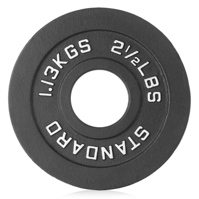 Cast Iron Olympic 2-inch Weight Plates, 2.5 - 45LB 2