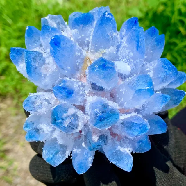 467G New Find sky blue Phantom Quartz Crystal Cluster Mineral Specimen Healing