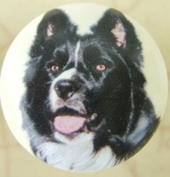 Ceramic Knobs w/ Border Collie #5 DOG