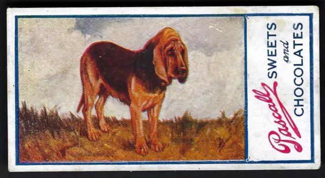 Pascall - Dogs - #5 Bloodhound