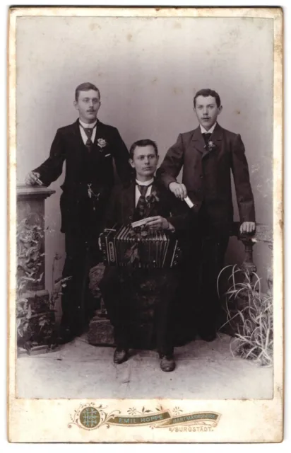 Fotografie Emil Hoppe, Hartmannsdorf, Portrait Musiker mit Akkordeon und Mundha