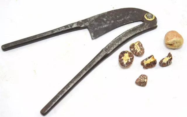 Indian Engraving Designed Iron Betel Nut Cracker Nice Utility Décor. i12-142