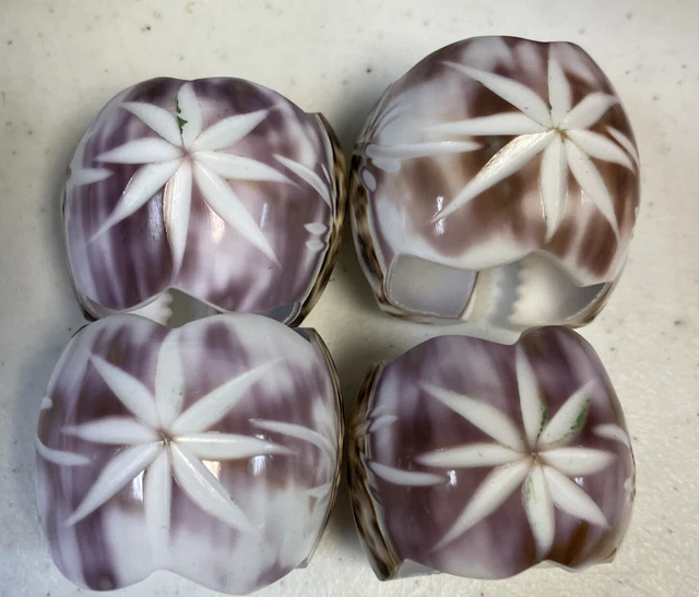 4 Sea Shell Napkin Ring Holders  Cowrie Natural Fancy Scallop Ocean Retro