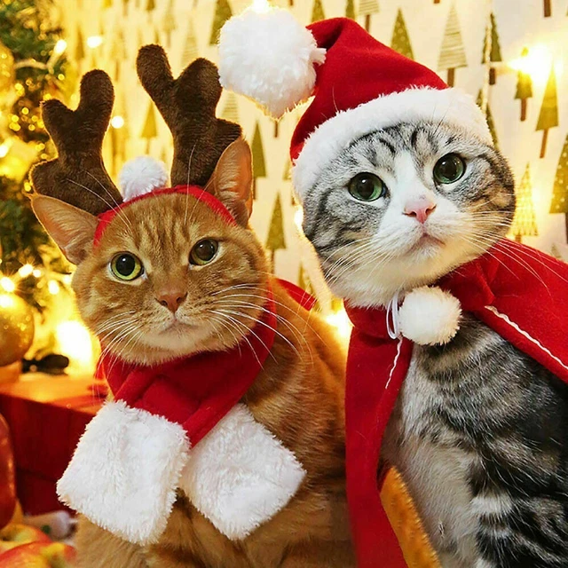 Costumi Natale divertenti e festivi per cani e gatti perfetti per feste