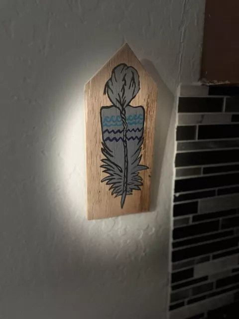 Hand Made Indigenous Woman Feather Painting Art