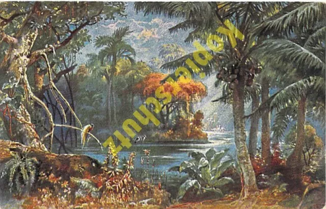 Kamerun AK um 1915 ehem. deutsche Kolonien Landschaft Ansichtskarte frankiert