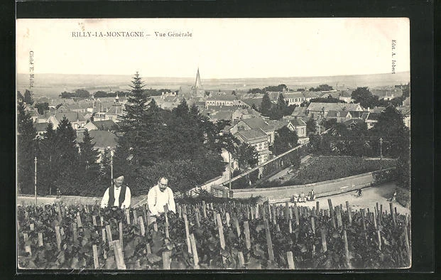 CPA Rilly-La-Montagne, General View