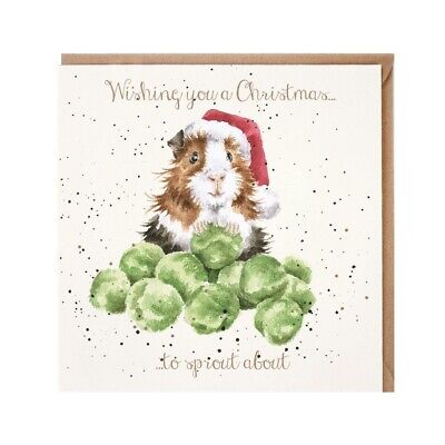 Guinea Pig Christmas Greeting Card – Wrendale Design Sprout about Card