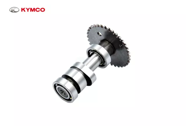 Neuf Oem Kymco Arbre A Came Kxr 250 / Maxxer 250