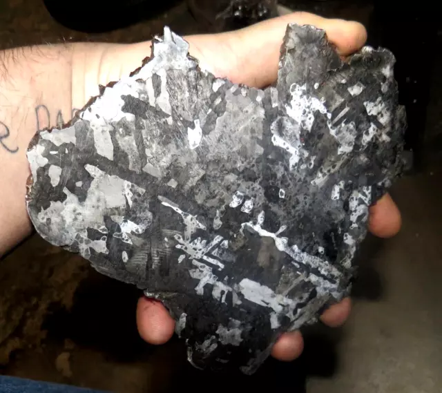 Beautiful 750 Gm Campo Del Cielo Etched Meteorite Slab!!!