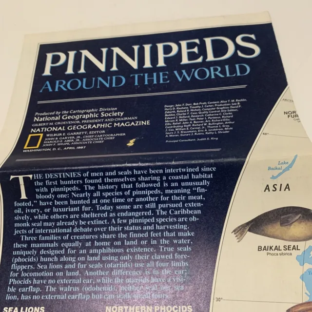 Vintage 1987 National Geographic Pinnipeds 2 Sided Antarctica World Map Seals