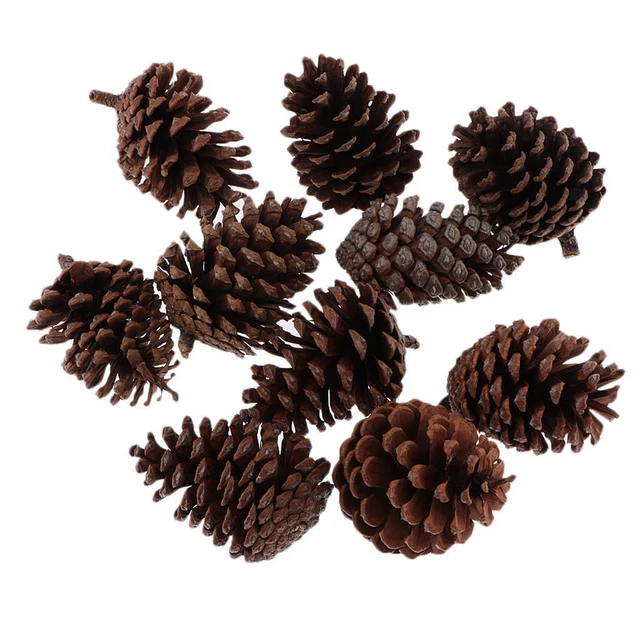 10 Stück Tannenzapfen Kugeln Hängen Weihnachtsbaum Feiertagsdekoration A 6-8CM
