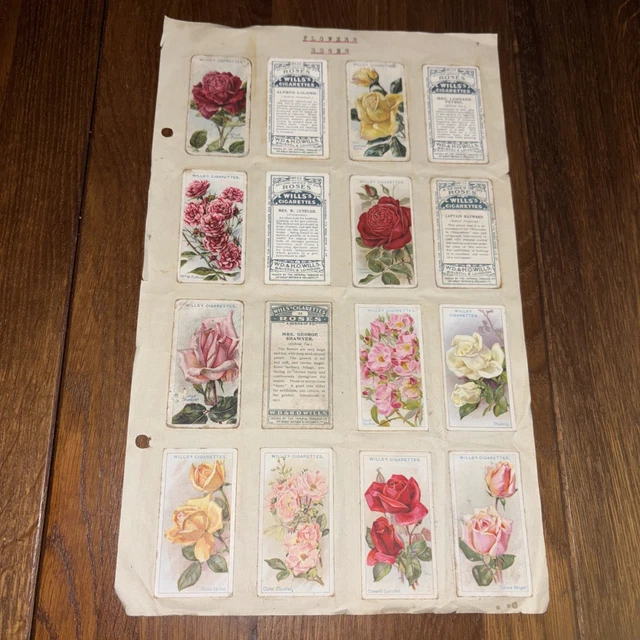 WILLS'S CIGARETTE CARDS Set x 24 Roses 1930s - Both Sides (double Cards x  8) £2.24