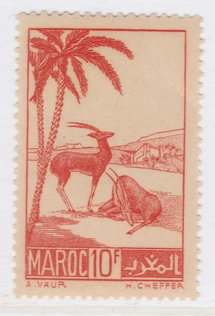 French Colony MOROCCO 1939-42 10fr MNH** Stamp A27P59F26284