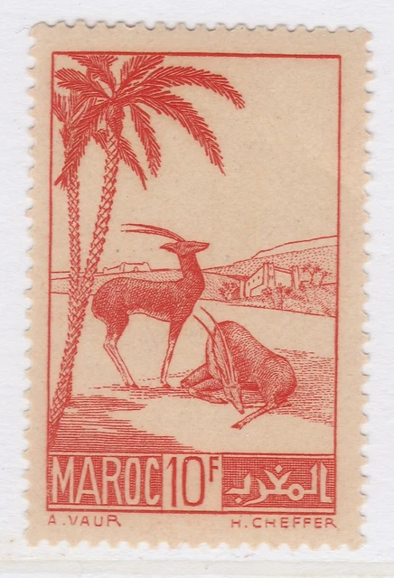French Colony MOROCCO 1939-42 10fr MNH** Stamp A27P59F26284