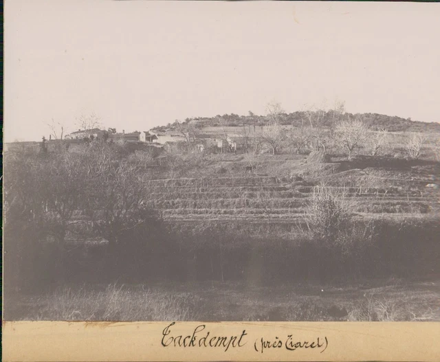 Vintage - Tirage Citrate Algérie Tiaret Fête De L'Aïd El Sghir Vers 1895
