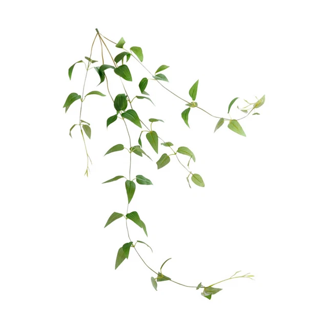 110 Fils à Fleurs Verts 30 Cm - Fil De Fer Souple Pour Arrangements Floraux, Couronnes, Bouquets