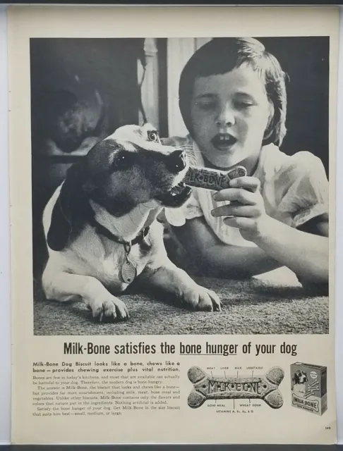 1959 Milk Bone Bisquits Dog Chewing on Bone With Girl Vintage Print Ad