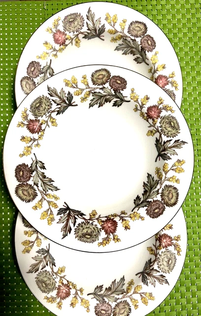 Set of 3 Wedgwood Bone China Lichfield  soup plate W4156 Made in England