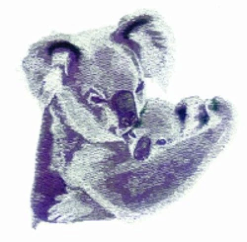 Embroidered Ladies T-Shirt - Koala Pair BT3648 Sizes S - XXL
