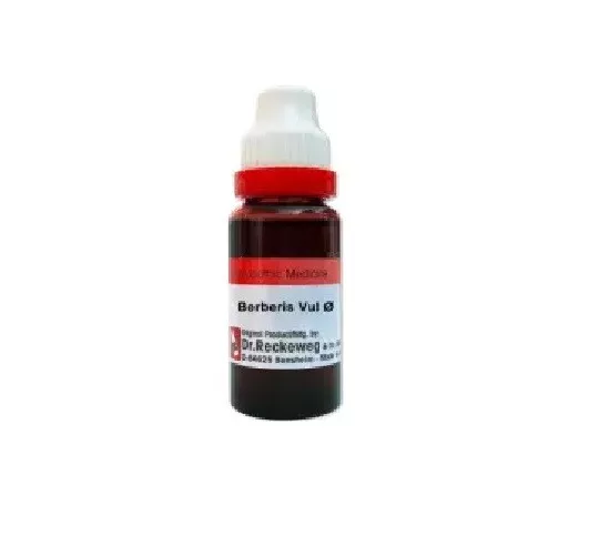 Dr. Reckeweg Berberis Vul Mother Tincture Q 20ML From India