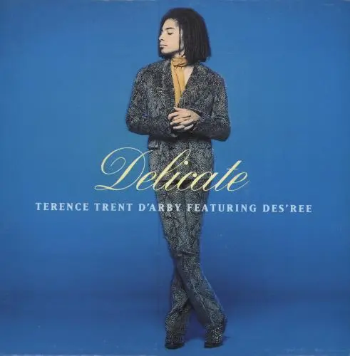 Delicate Terence Trent D'Arby 7" vinyl single record SPA promo