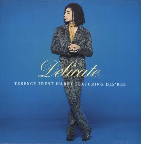 Delicate Terence Trent D'Arby 7" vinyl single record SPA promo