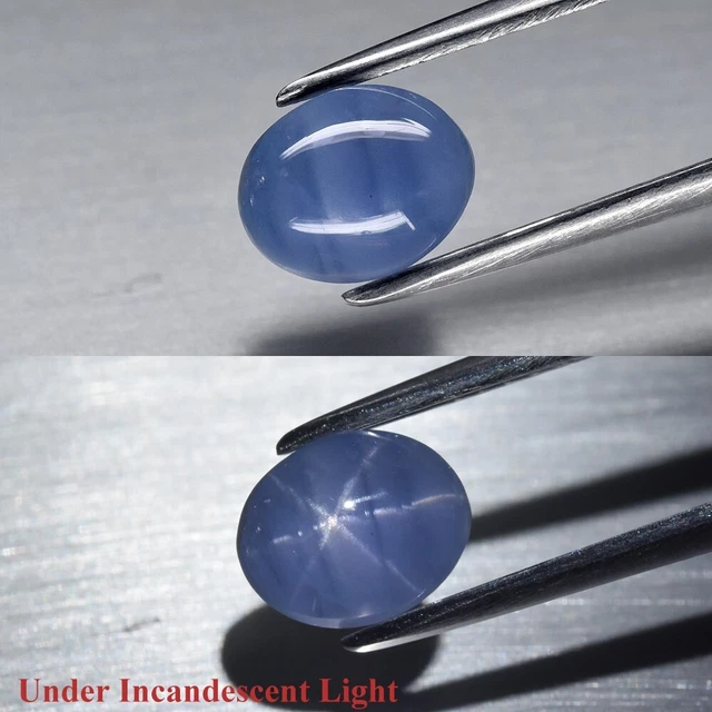 2.25ct 7.5x6.5mm Oval Cabochon Blue 6 Ray Star Sapphire Unheated Sri-Lanka