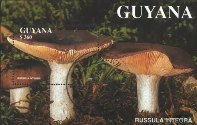 Guyana Block142 (kompl.Ausg.) gestempelt 1991 Pilze