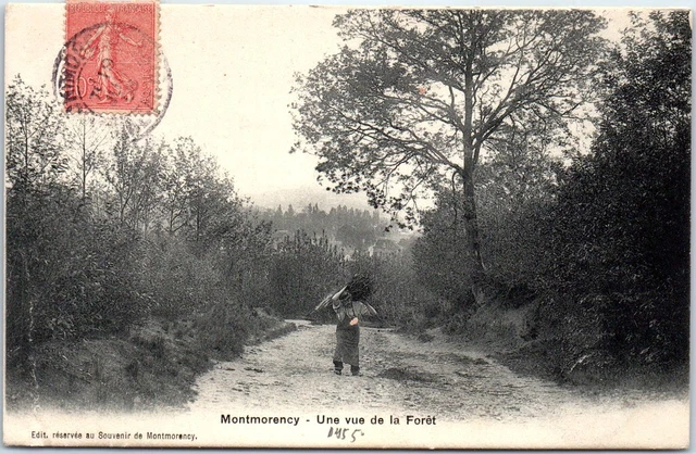 95 MONTMORENCY - a view of the forest.