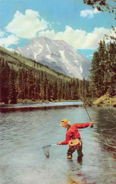 Trout Stream Fly Fishing Gear Light Spinning Rod Lures Spinners Vtg Postcard A16