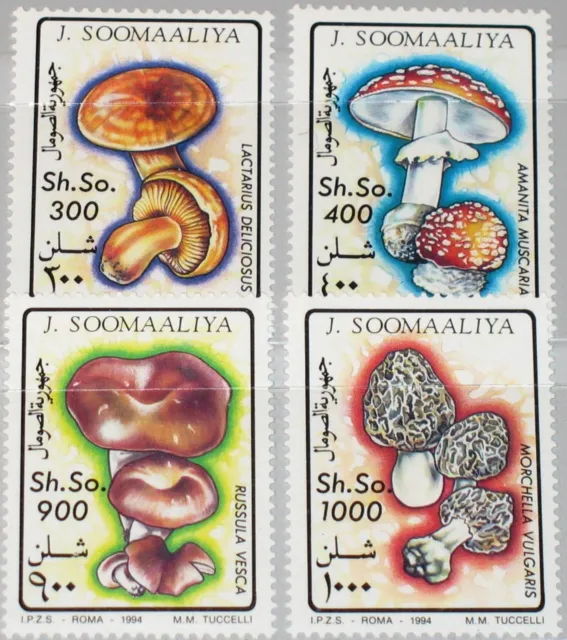 SOMALIA 1994 503-06 Pilze Fungus Mushrooms Flora Pflanzen Vegetable MNH