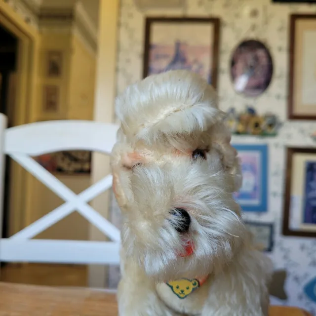 Vintage white mohair Steiff Snobby Poodle Puppy Dog Teddy Bear Friend 8+in VGC+