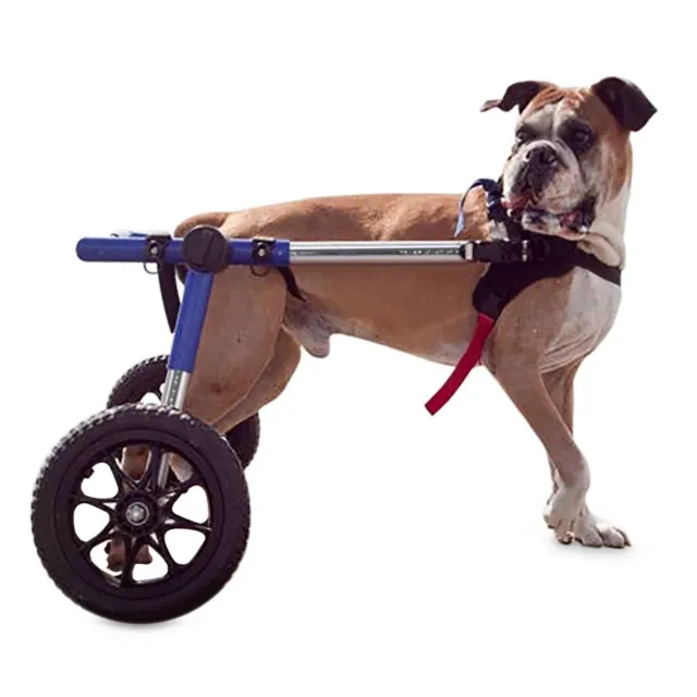 Refurbished Dog Wheelchair - For Large Dogs 70-180 lbs - By Walkin' Wheels