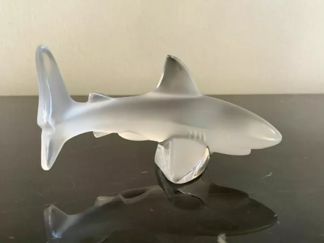 Lalique - Frosted Clear Shark - NEW in Box - Requin