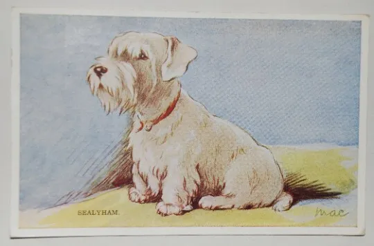 1940s Sealyham Terrier Dog Valentine's Collectable Postcard