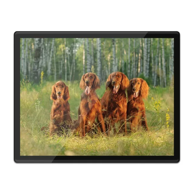 Placemat Mousemat 8x10 - Irish Red Setter Family Dog  #3389